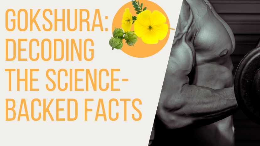 GOKSHURA DECODING THE SCIENCE BACKED FACTS