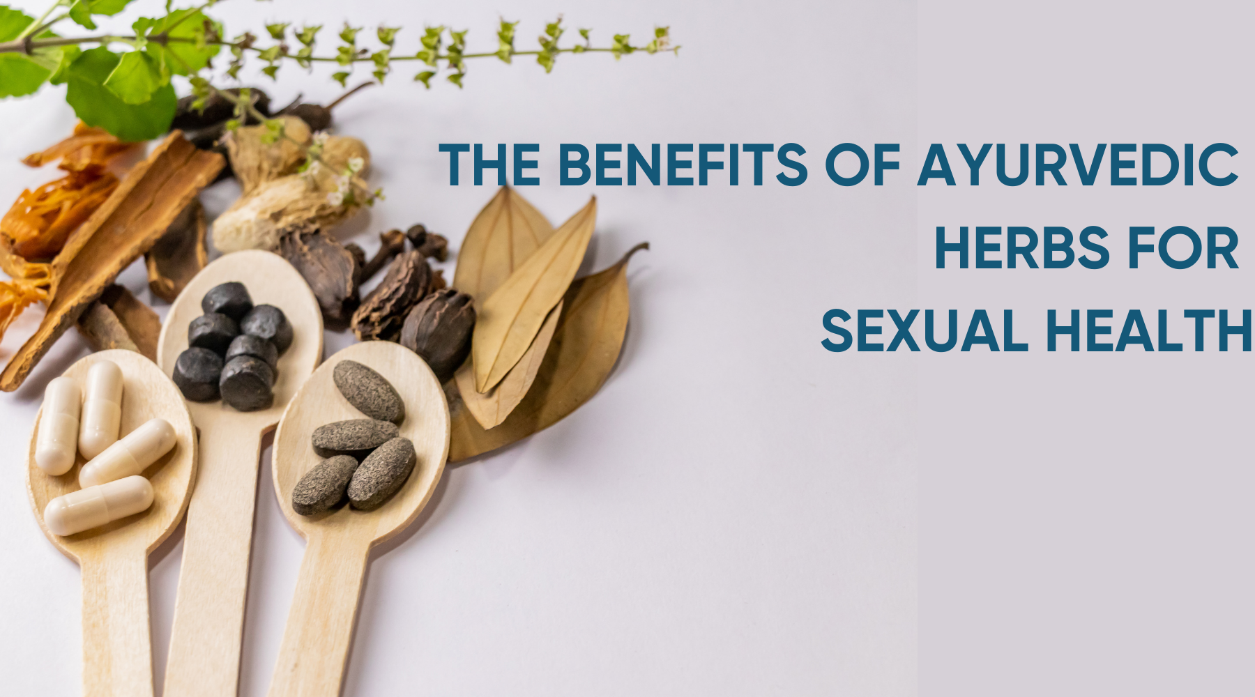 THE BENEFITS OF AYURVEDIC HERBS FOR SEXUAL HEALTH
