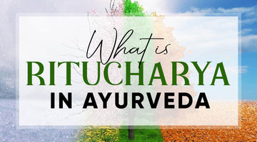 AADAR, AADAR FOR MEN, RITUCHARYA, AYURVEDA, AYURVEDIC, SEASONS, WINTER, SPRINGS, DIET, LIFESTYLE