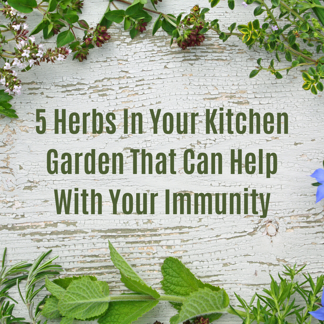 5 Herbs In Your Kitchen Garden That Can Help With Your Immunity