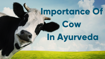 AADAR, AYURVEDA, AYURVEDIC, MILK, GHEE, URINE, DUNG, COW DUNG, COW URINE, COW