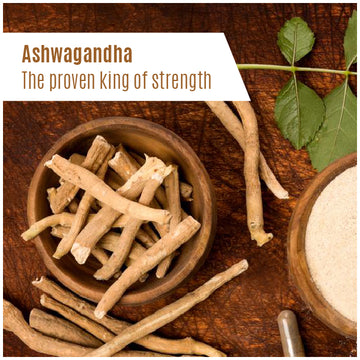 Ashwagandha - The proven king of strength