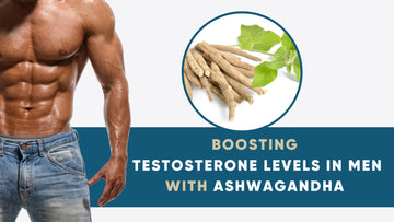 Boosting Testosterone Levels in Men with Ashwagandha